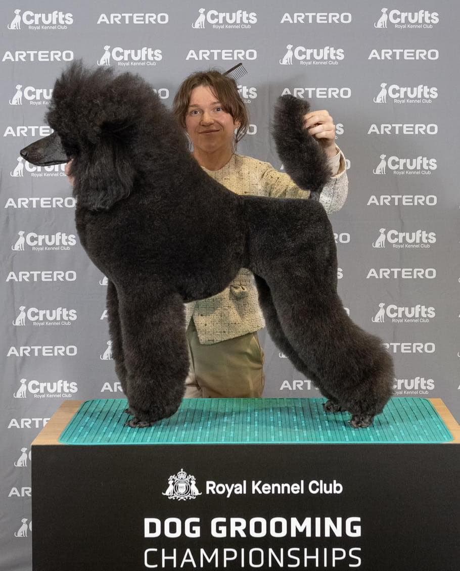 Jade at the Royal Kennel Club Dog Grooming Championships.